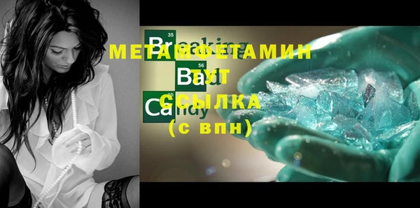 прущие грибы Верхний Тагил