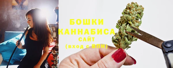 гидра Володарск