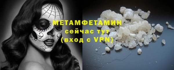 гидра Володарск