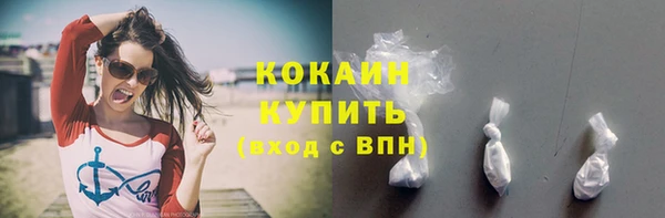 гидра Володарск