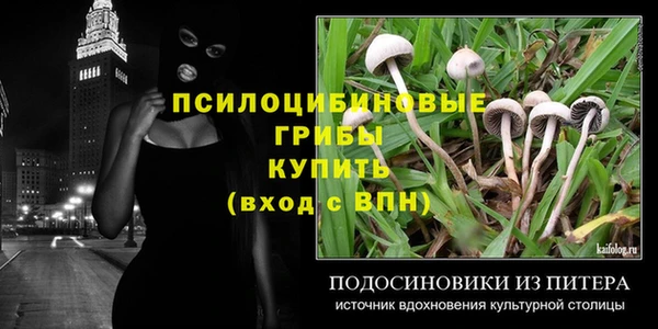 бошки Волоколамск