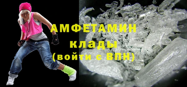 прущие грибы Верхний Тагил