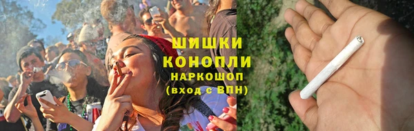 гидра Володарск